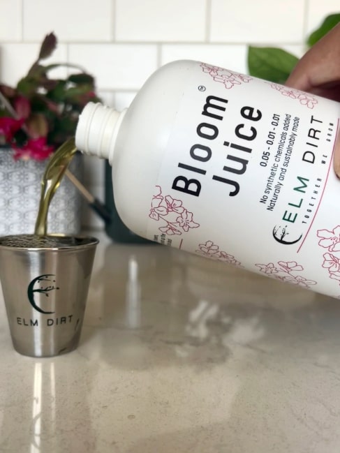 Elm Dirt Bloom Juice fertilizer in a 16 oz bottle, showcasing the award-winning formula for vibrant, healthy flowers.