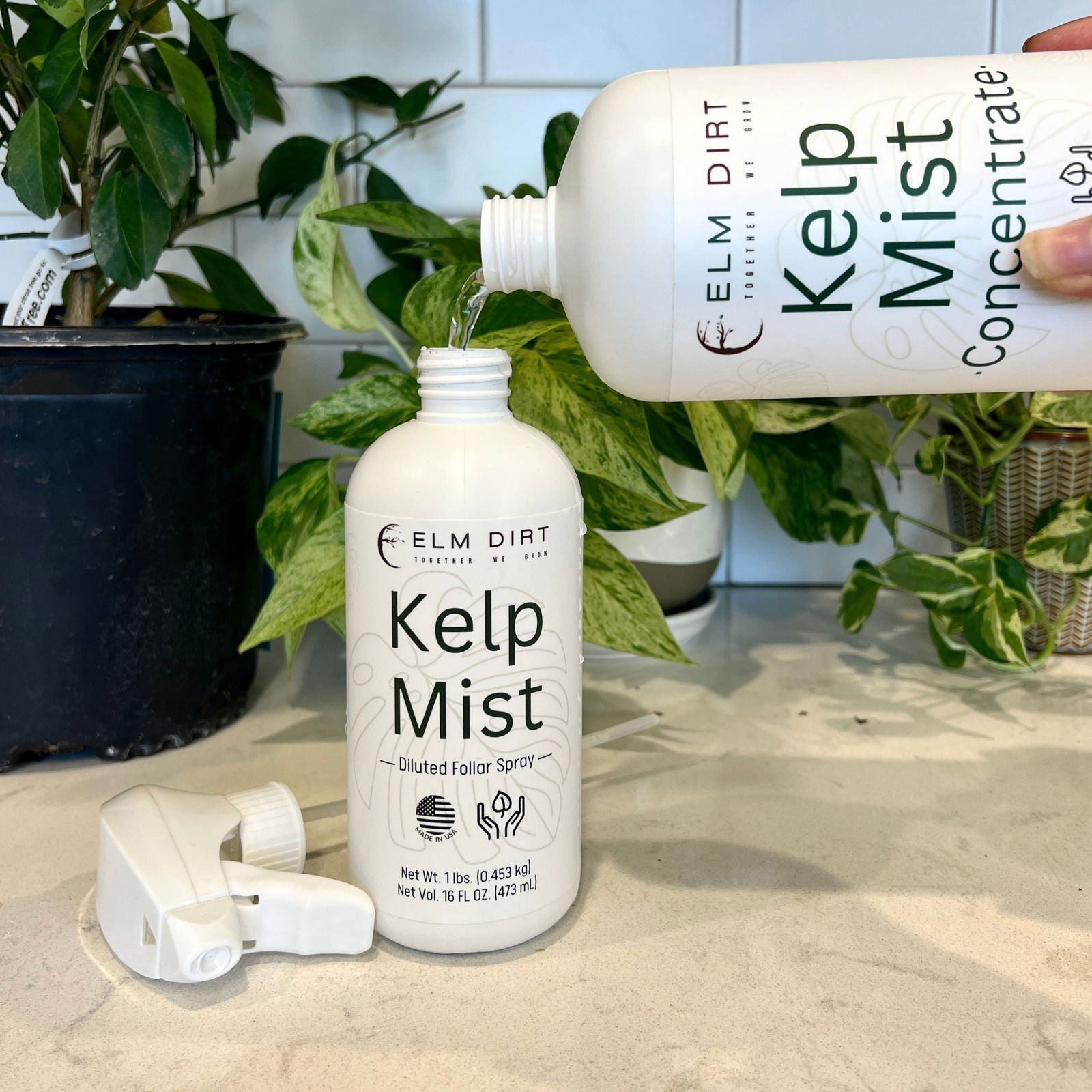 Elm Dirt Kelp Mist fertilizer bottle showing 16 oz container with a green label and natural plant illustrations.