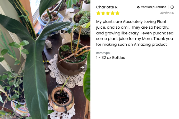 Elm Dirt Plant Juice fertilizer bottle, 16 oz, with vibrant green plants growing around it, showcasing healthy plant growth.