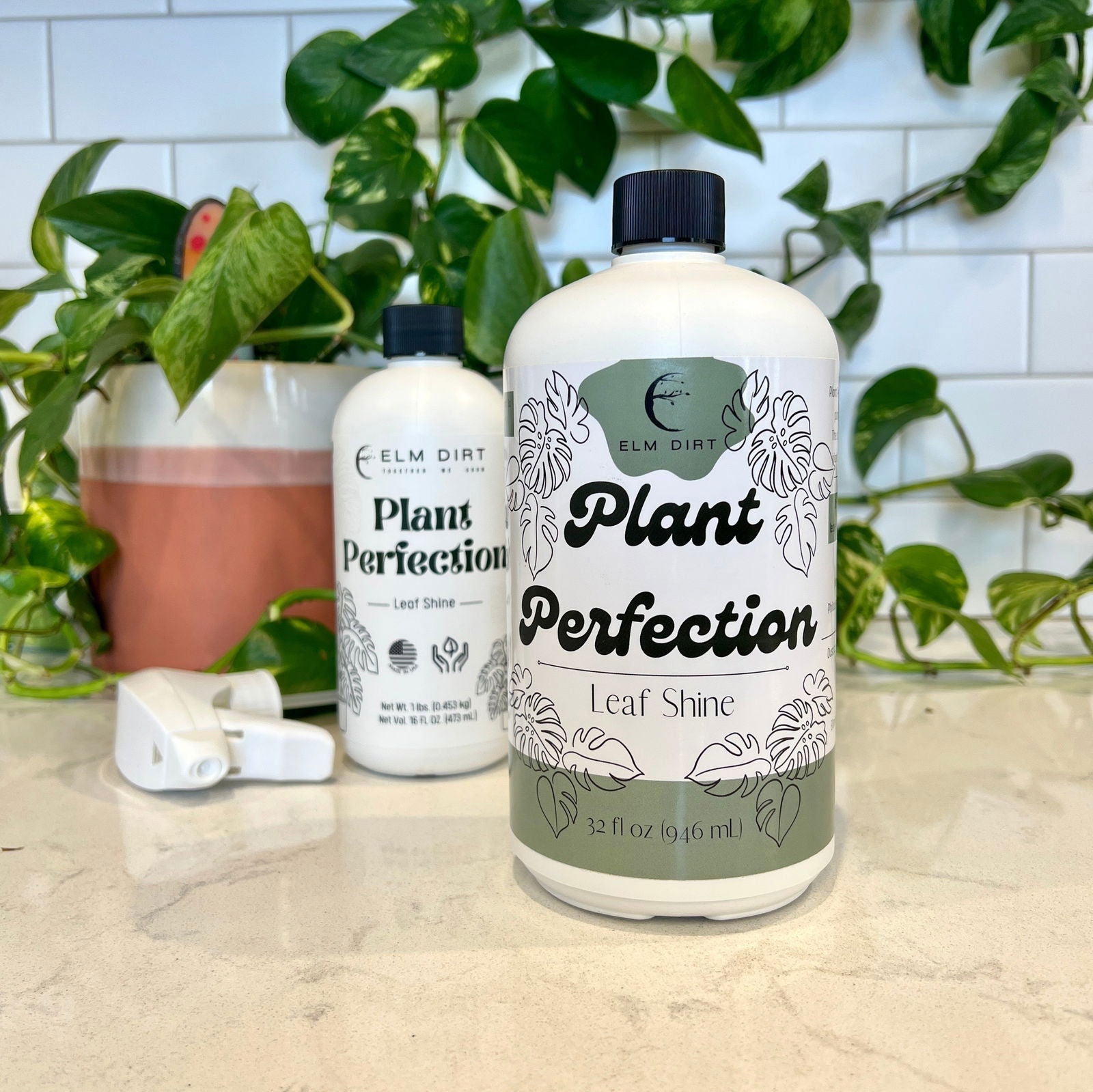 Elm Dirt Plant Perfection fertilizer in 16 oz bottle, ideal for healthy plant growth and vibrant foliage.