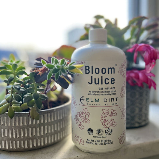 Elm Dirt Bloom Juice fertilizer bottles, 32 oz each, with three bottles shown, designed to promote healthy plant growth