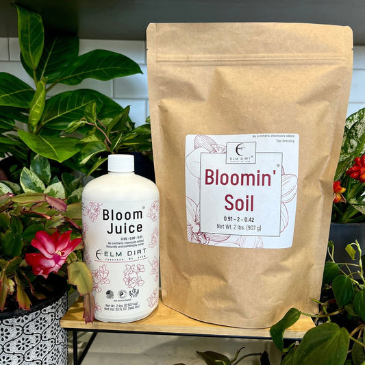 Elm Dirt Bloom Power Bundle fertilizer for plants, featuring a balanced fertilizer mix for healthy growth and vibrant blooms.
