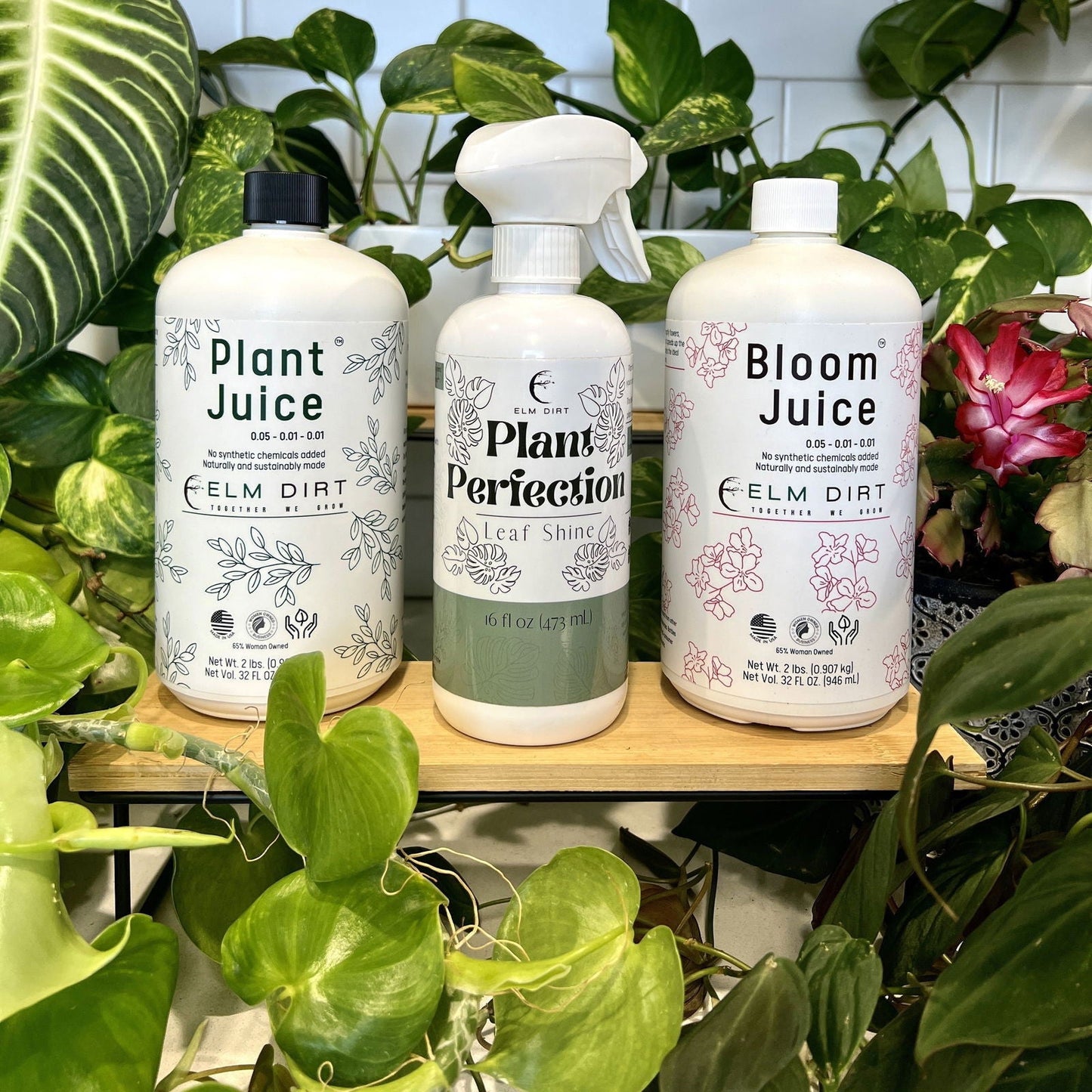 Elm Dirt Plant Care Kit fertilizer with natural ingredients, featuring bottles and plant nutrients for healthy indoor and outdoor plants.