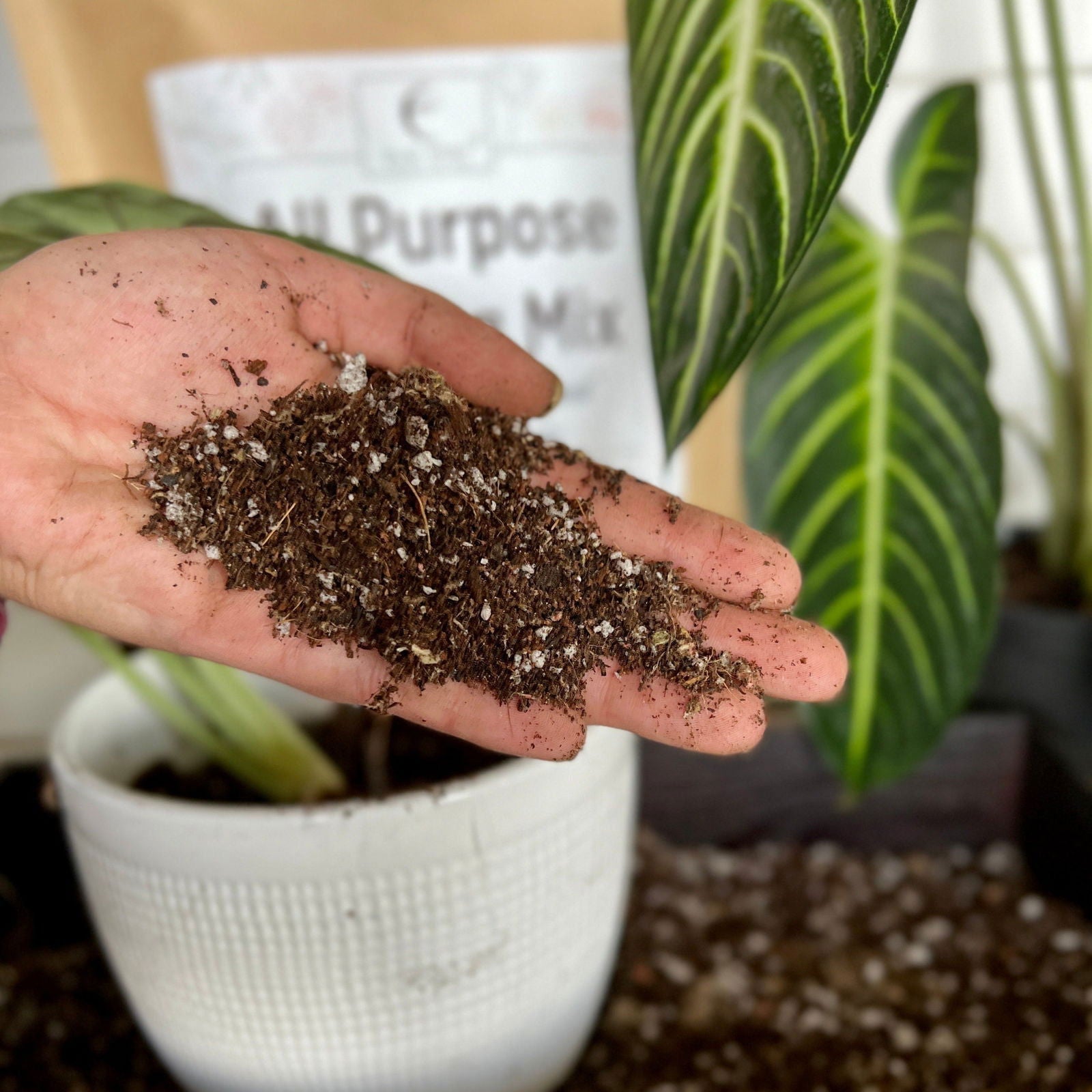 All-purpose soil mix by Elm Dirt, 5 lbs of versatile growing media suitable for various plants and gardening needs.
