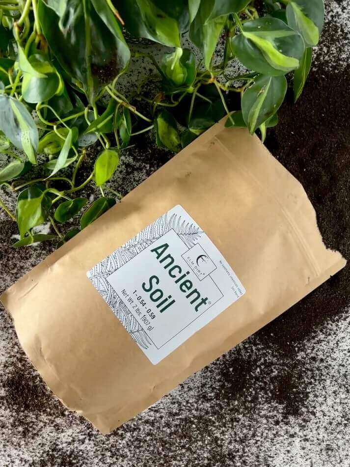 Elm Dirt Ancient Soil Organic Living Soil for thriving plants, shown in a 2-pound bag with rich, dark, healthy soil.