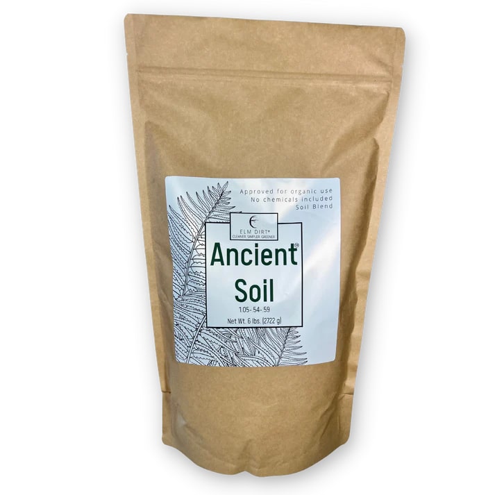 Elm Dirt Ancient Soil organic living soil for thriving plants, showing rich, dark soil with organic matter and plant roots.