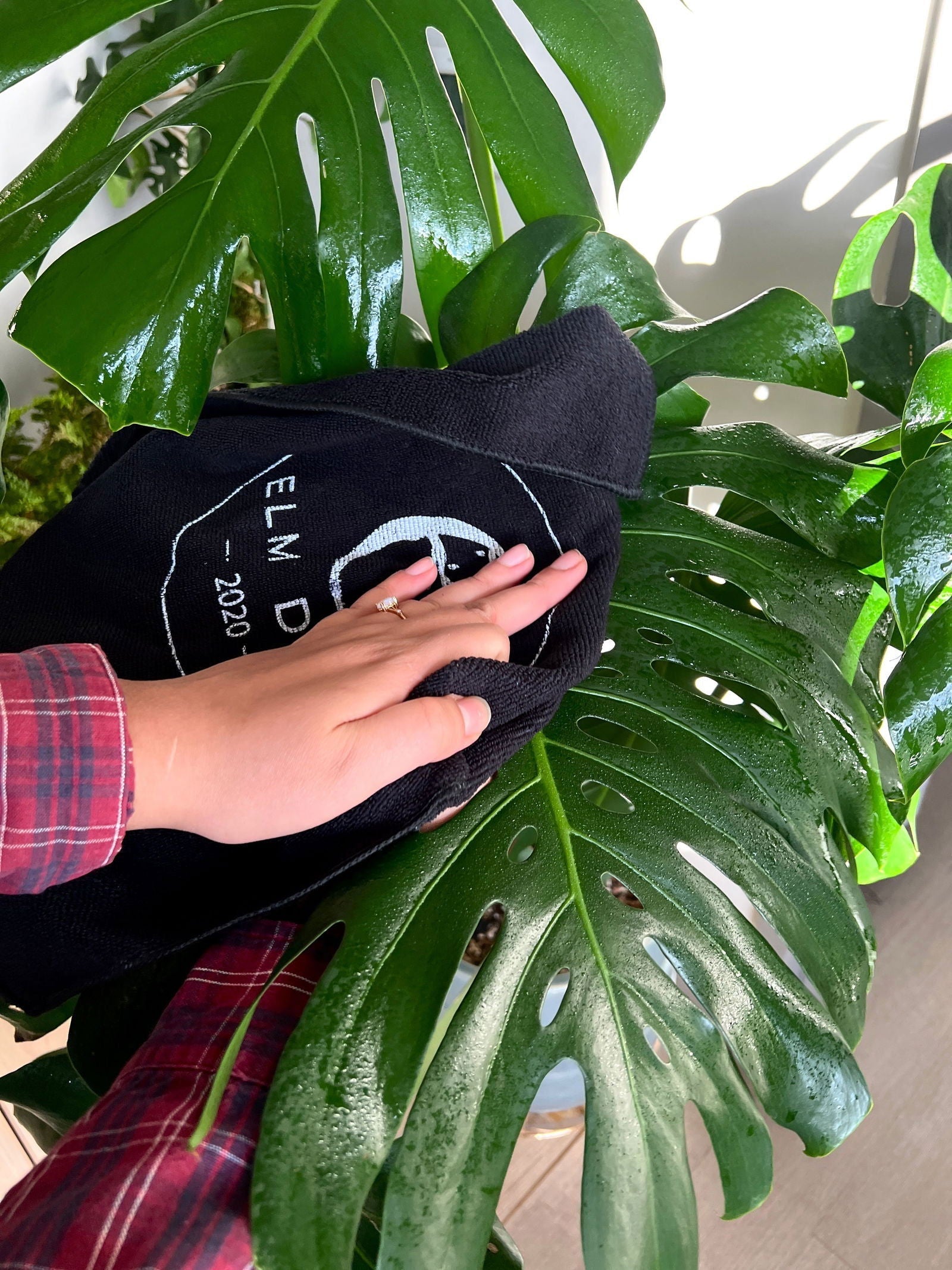 Elm Dirt Starter Kit soil bag from Elm Dirt, showing rich, dark soil ideal for gardening and planting projects.