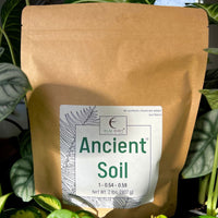 Elm Dirt Ancient Soil vegetable seeds, 2 lbs, organic seed packet featuring colorful illustrations of vegetable seedlings.