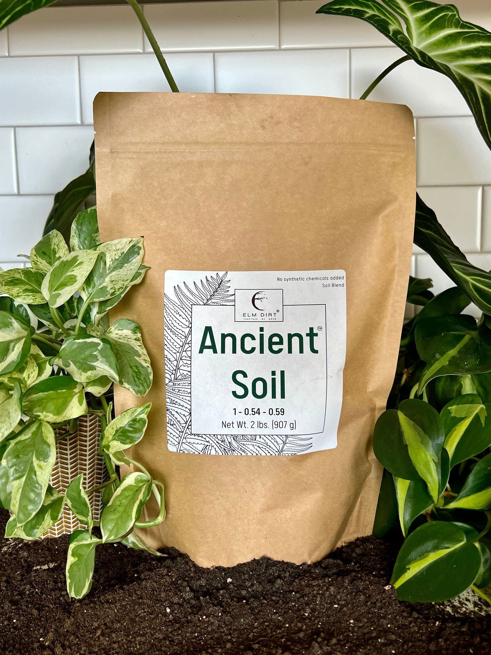 Two pounds of Elm Dirt Ancient Soil vegetable seeds in packaging, ready for planting in garden or farm.