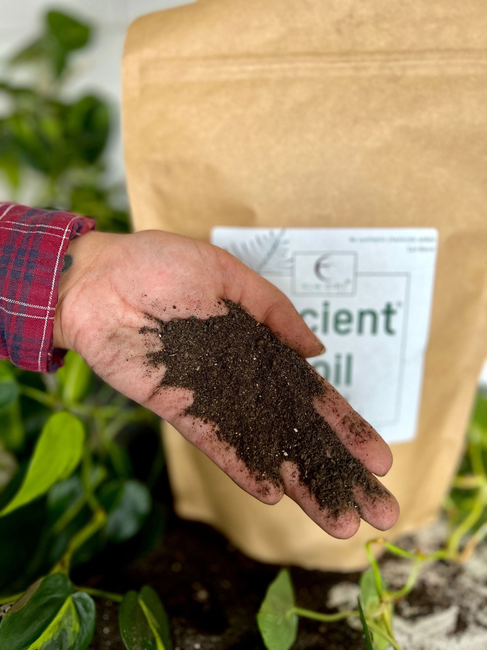 Two pounds of Elm Dirt Ancient Soil vegetable seeds, showing seed packets with colorful labels and fresh seed details.