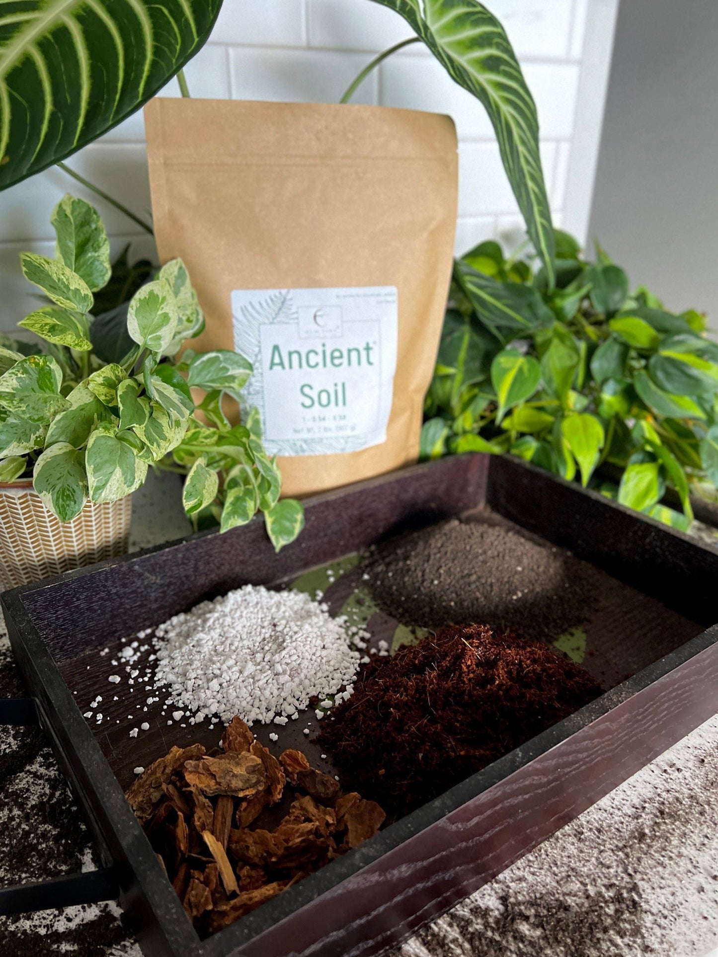 Two pounds of Elm Dirt Ancient Soil vegetable seeds, shown in small packets with seed details printed on the packaging.