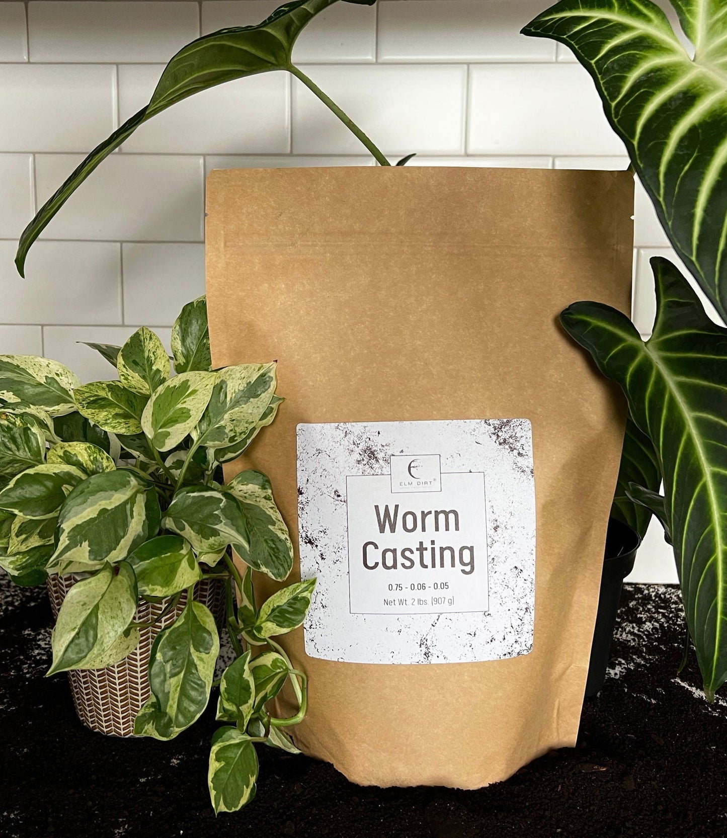 Two pounds of Elm Dirt worm castings, rich organic fertilizer, shown in a clear container with dark, nutrient-rich soil material inside.
