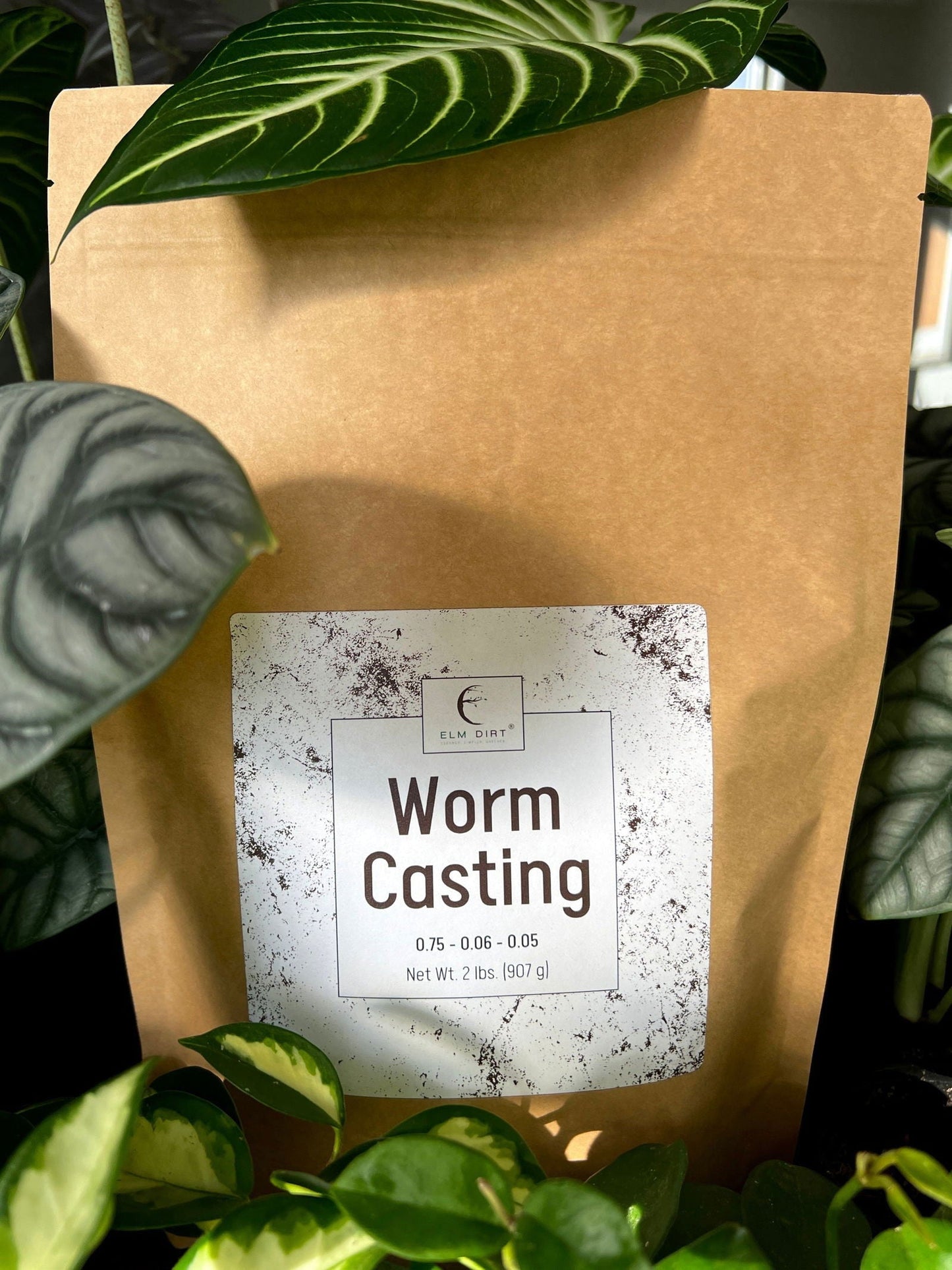 Two pounds of Elm Dirt worm castings, rich organic soil enhancer with dark, nutrient-rich worm compost for gardening.