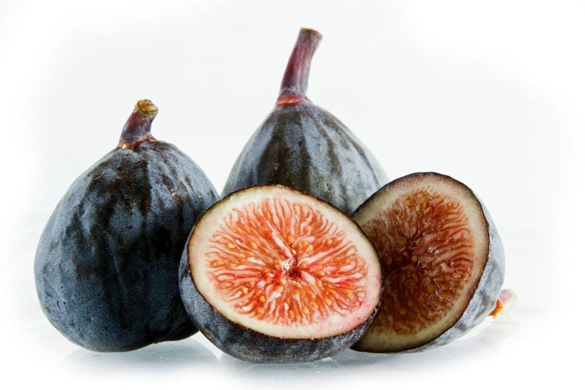 Dwarf Fig Tree "Beer's Black" by Everglades Farm, 12-18 inch tall, 1-gallon size with dark, lush foliage