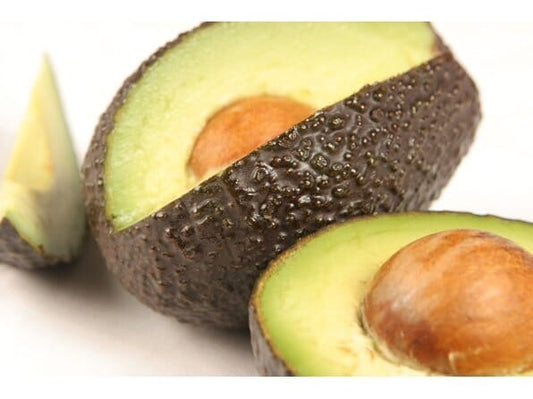 Grafted Hass California Avocado Tree from Everglades Farm, 1-2 feet tall in 1-gallon container, ready for planting.
