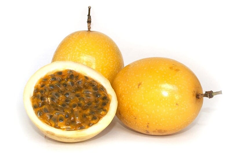 Yellow passion fruit vine from Everglades Farm, 12-18 inch Maracuya Amarillo fruit tree in a 1-gallon pot from Florida.