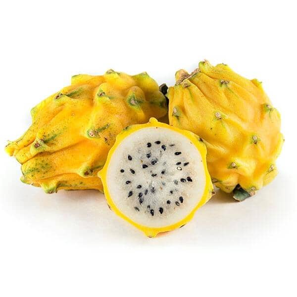 Yellow Pitaya dragon fruit from Everglades Farm, 12-18 inch fruit tree in a 1-gallon container, ready to grow vibrant dragon fruit plants.