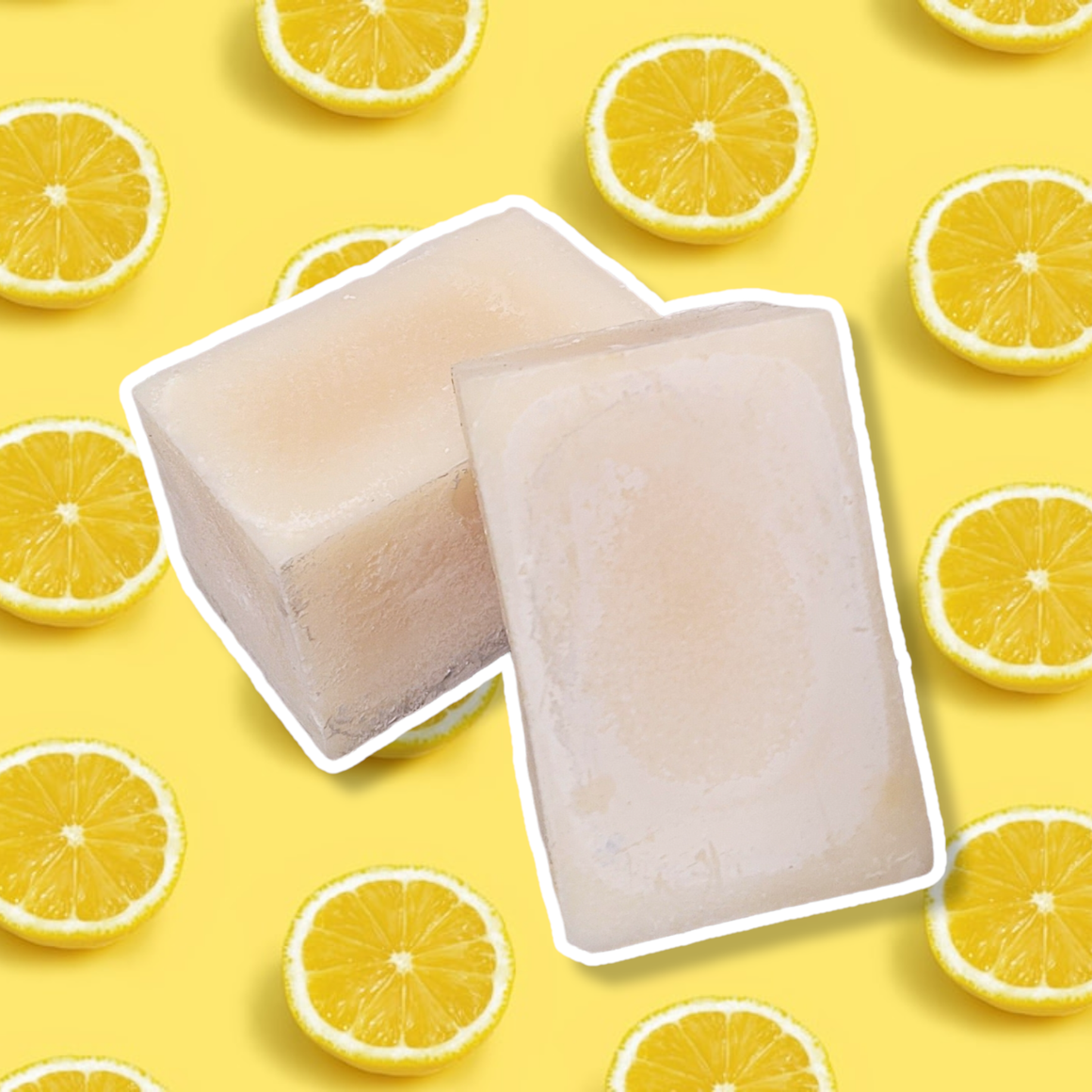Evolve Botanica vegan solid dish soap with lemon essential oil, zero waste, plastic-free, eco-friendly cleaning product.