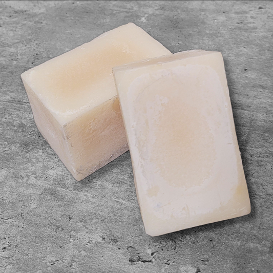 Evolve Botanica vegan solid dish soap bar, unscented and plastic-free, designed for zero waste and eco-friendly dishwashing.