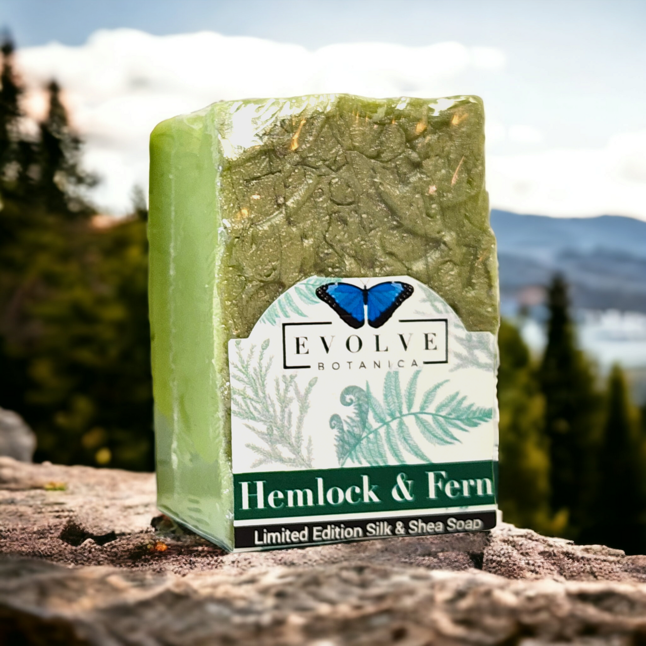 Evolve Botanica specialty soap with hemlock and fern scent, seasonal spring fragrance for Father's Day, natural and handcrafted.