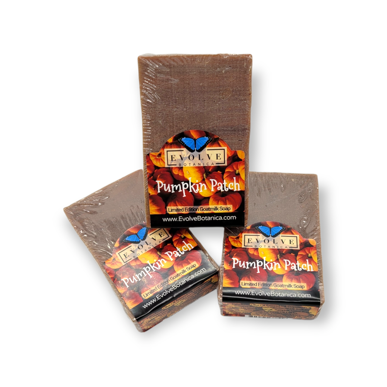 Evolve Botanica Pumpkin Patch Standard Soap bar with seasonal pumpkin scent and natural ingredients, displayed on a neutral background.