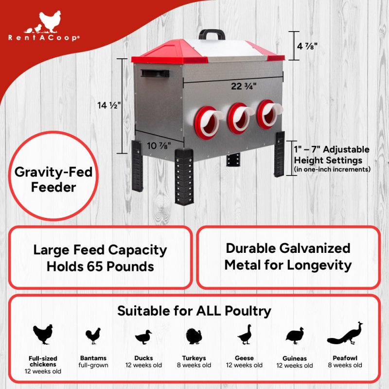 RentACoop Flock Feeder 65 6-port metal poultry feeder with multiple ports for easy feeding of backyard chickens.