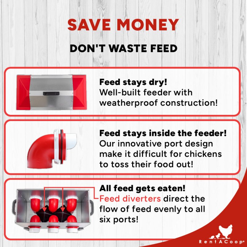 RentACoop Flock Feeder 65 6-Port metal poultry feeder with multiple ports for easy grain distribution.