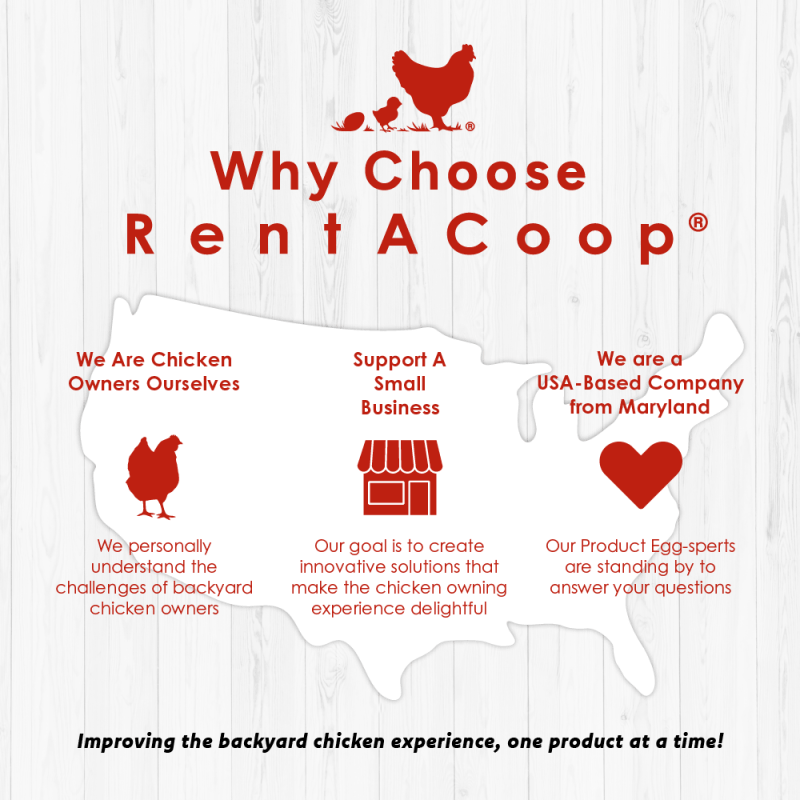 RentACoop Flock Feeder 15 with 6 ports, a 15-pound capacity poultry feeder for chickens or small flocks.