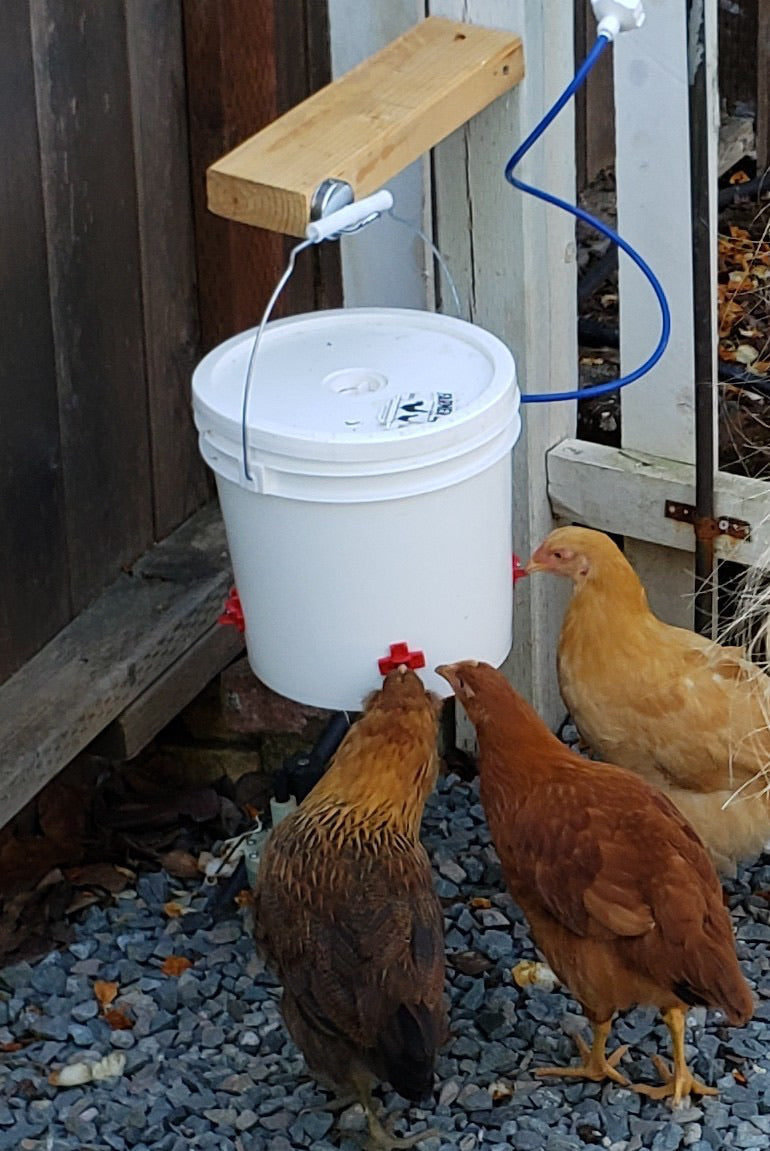 Farmer Brad automatic chicken waterer with 2-gallon capacity, clear plastic container and spout for easy watering of poultry.