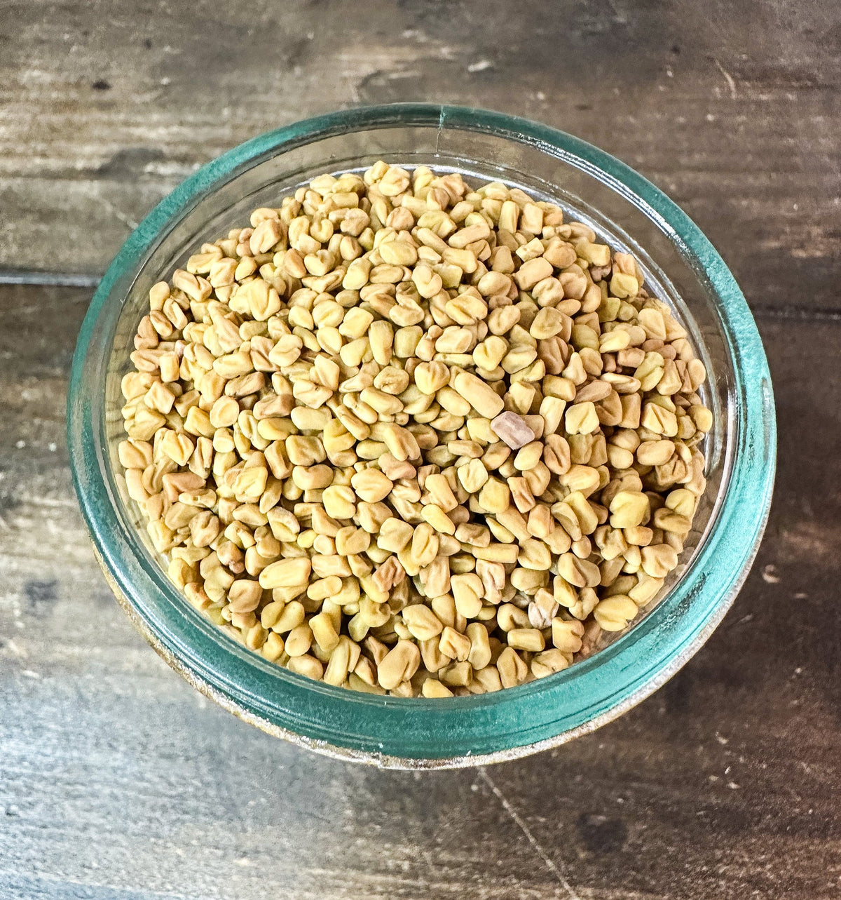 Small jar of dried fenugreek seeds from HerbalRoseApothecary, herb jar for herbs and spices, with visible fenugreek seeds inside