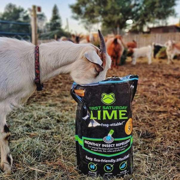 20-pound bag of First Saturday Lime insect repellent for animals and pets, showing the natural lime product for pest control.