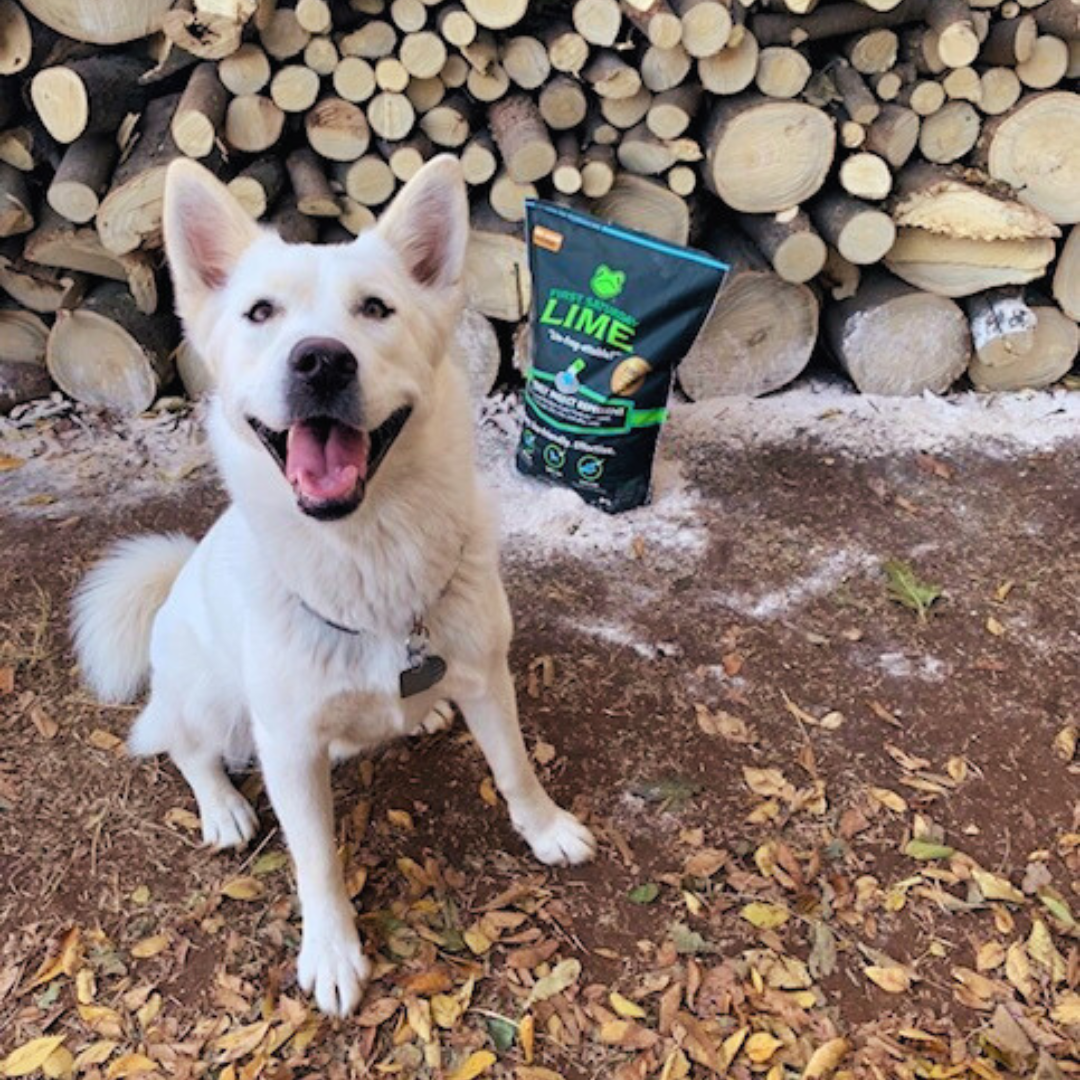 20-pound bag of First Saturday Lime insect repellent for animals and pet supplies, natural pest control for pets and outdoor spaces.