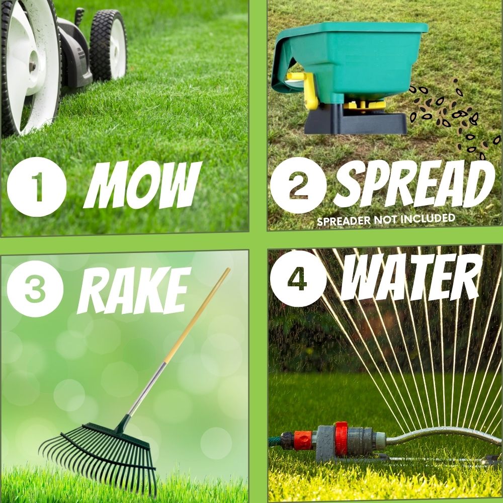 Flawn Seed Kits Micro Clover and Mow Less Grass Seed in a 100 sq ft pouch, designed for planting seeds and seed tape.