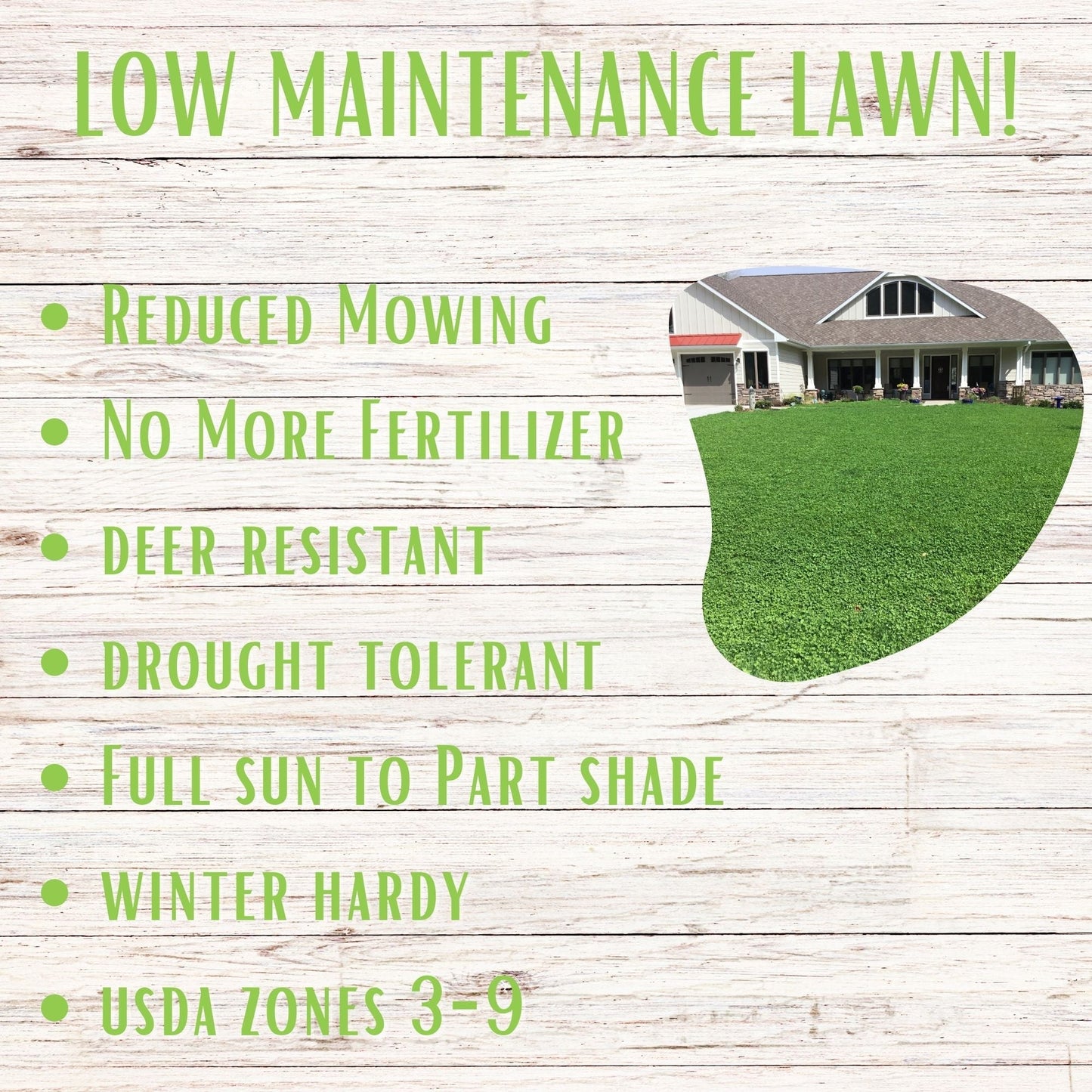 Micro Clover and Mow Less Grass Seed in Flawn Seed Kits' seed tape, designed for 100 sq ft of lawn, showing seed tape and packaging.