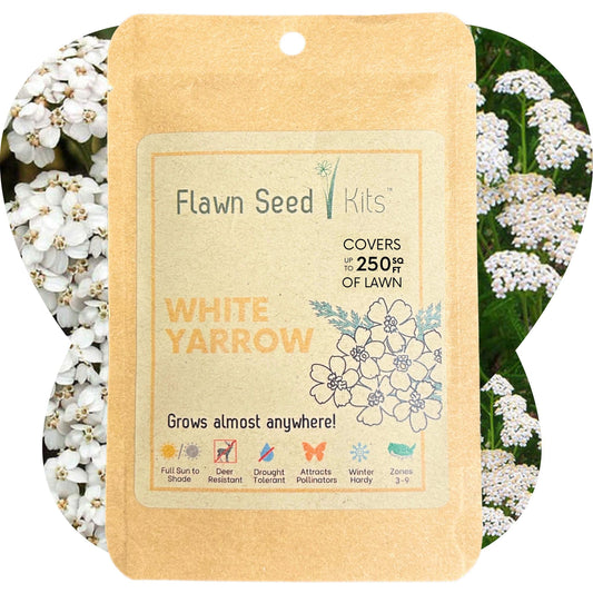 White Yarrow seed pouch from Flawn Seed Kits, containing seeds for planting with seed tape, ideal for gardening and flower beds.