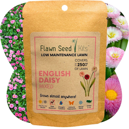 English Daisy mixed seed pouch from Flawn Seed Kits, featuring seeds and seed tape for easy planting and gardening.