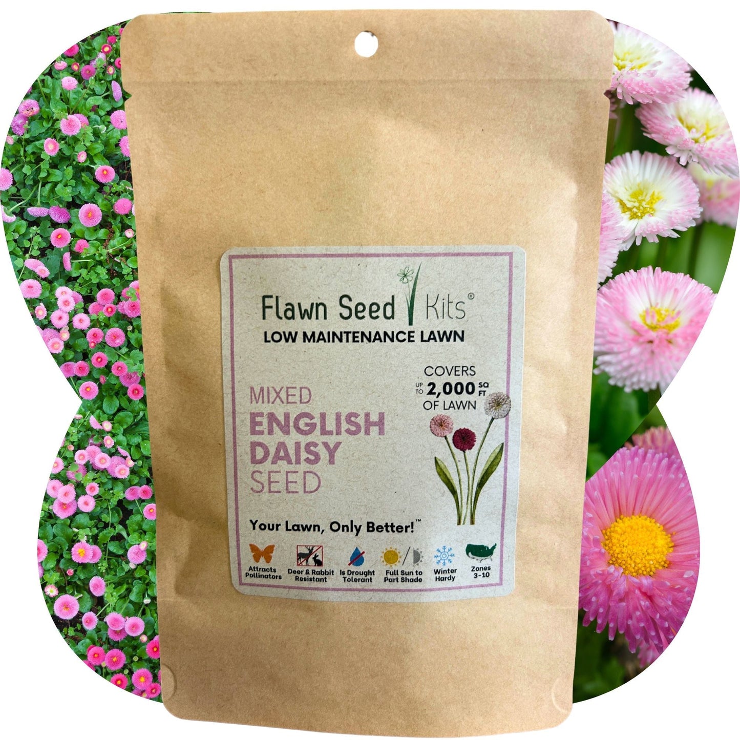 English Daisy mixed seed pouch from Flawn Seed Kits, showing seed tape for planting in a garden or flower bed.