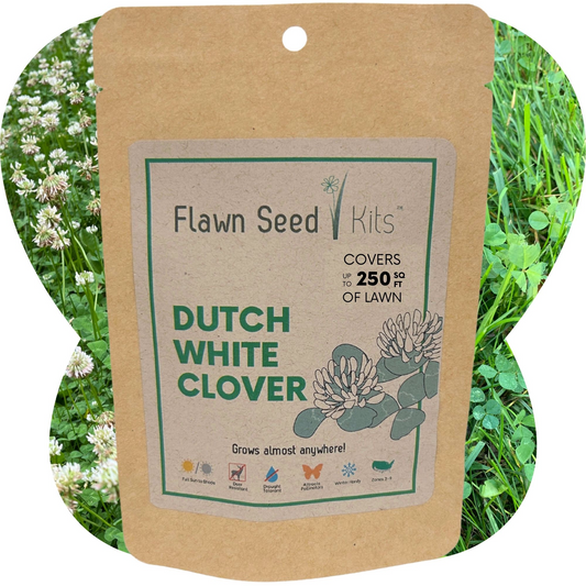 Dutch White Clover seed pouch by Flawn Seed Kits, containing 44 oz of seeds in a seed tape for 100 sq ft of lawn.