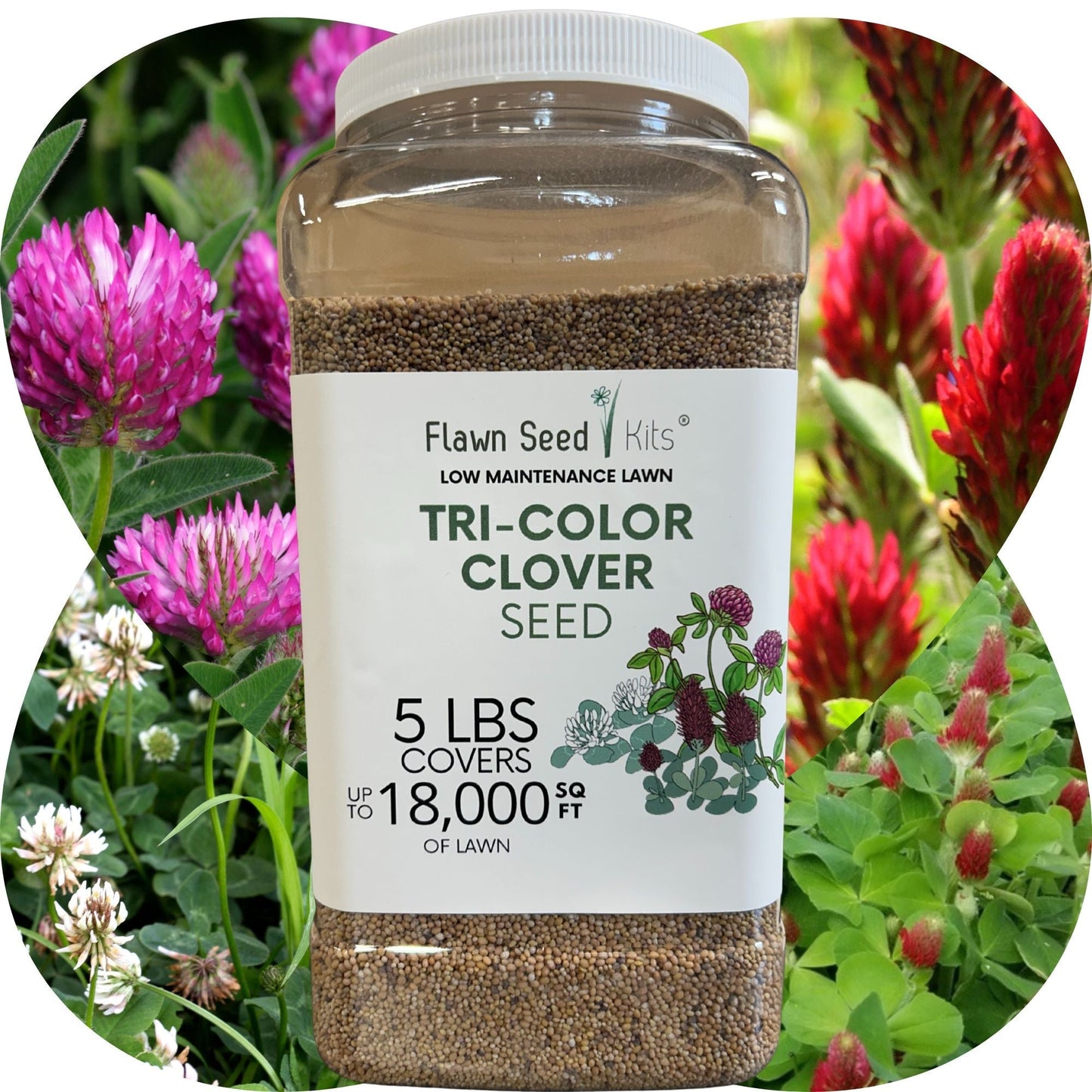 Tri-color clover seed blend in seed tape by Flawn Seed Kits, ideal for lush lawns and garden patches, covering 100 sq ft.
