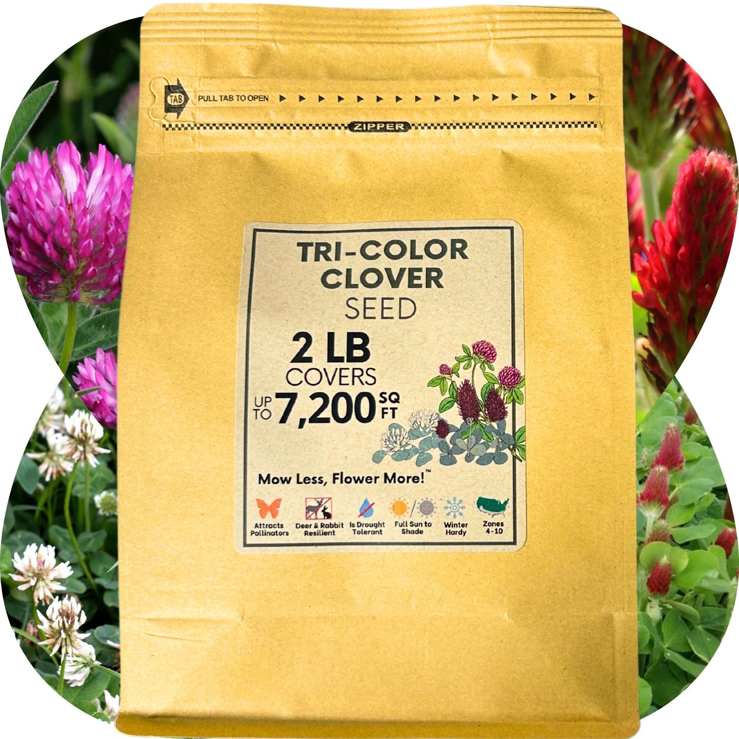 Tri-color clover seed blend from Flawn Seed Kits in seed tape for 100 sq ft of lush, colorful ground cover.