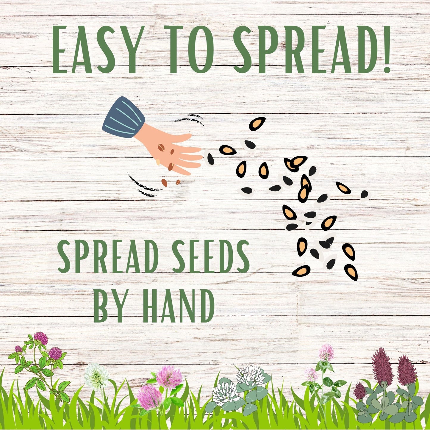 Tri-color clover seed blend from Flawn Seed Kits in seed tape, ideal for lawn and garden planting, covers 100 sq ft.