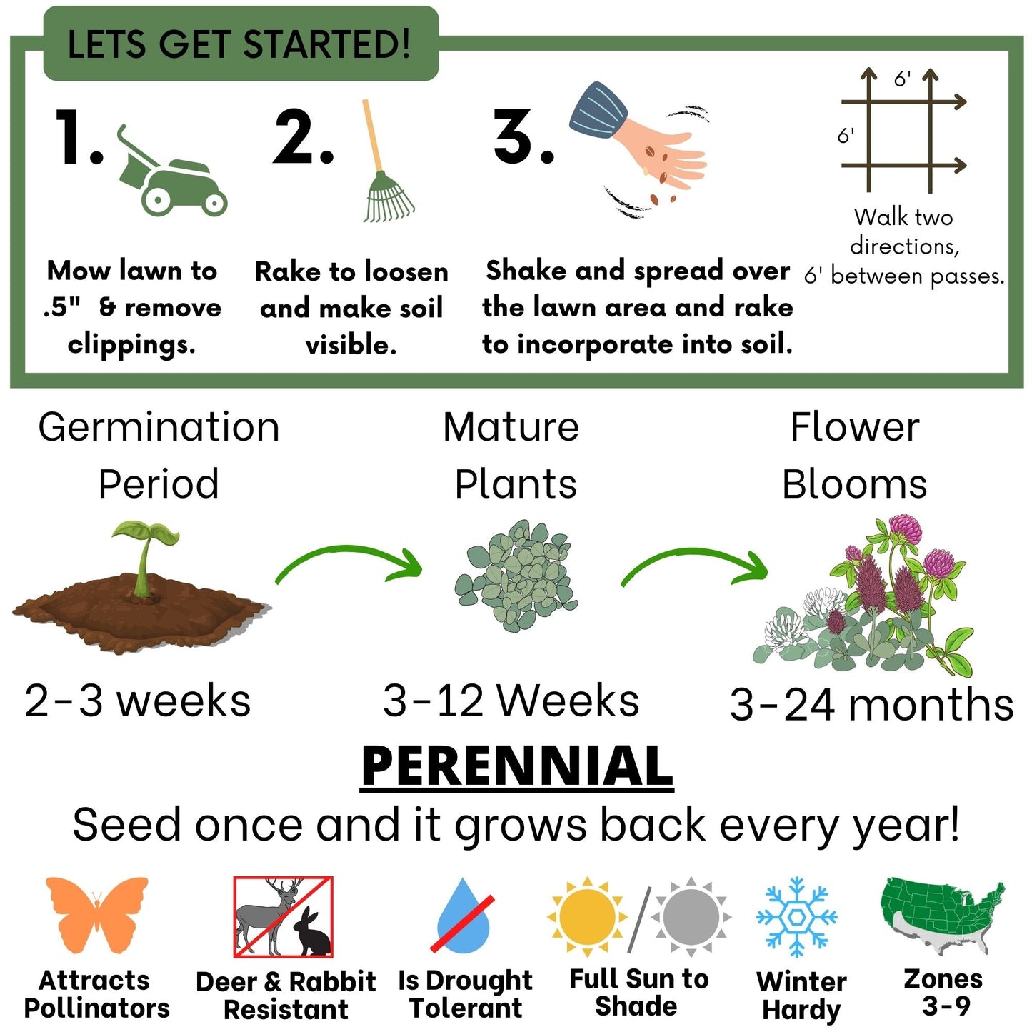 Tri-color clover seed blend from Flawn Seed Kits, packaged as seeds and seed tape for 100 sq ft of lush lawn or garden.