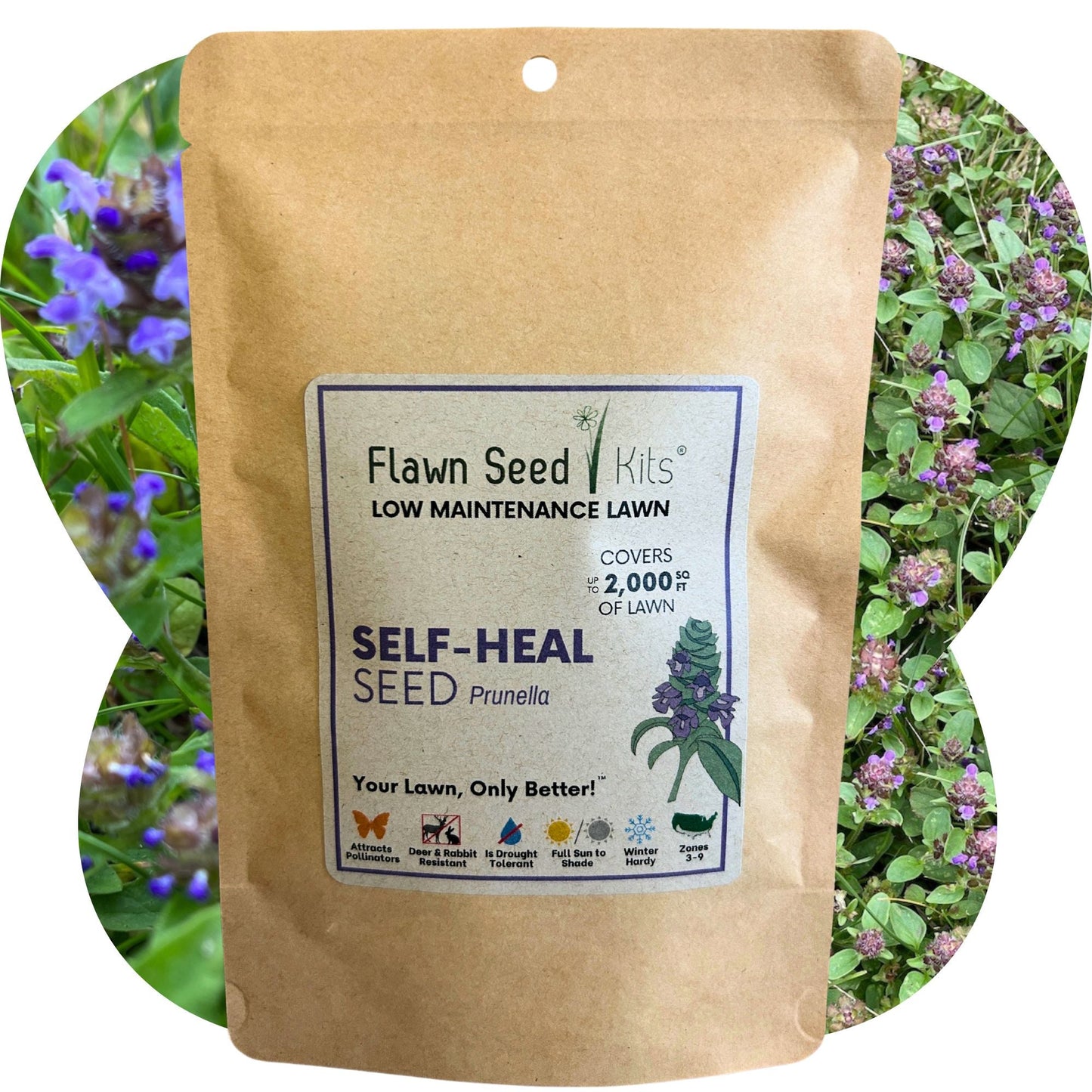 Self-Heal seed pouch from Flawn Seed Kits, 25 oz of seeds in seed tape for gardening, 250 sq ft planting area.