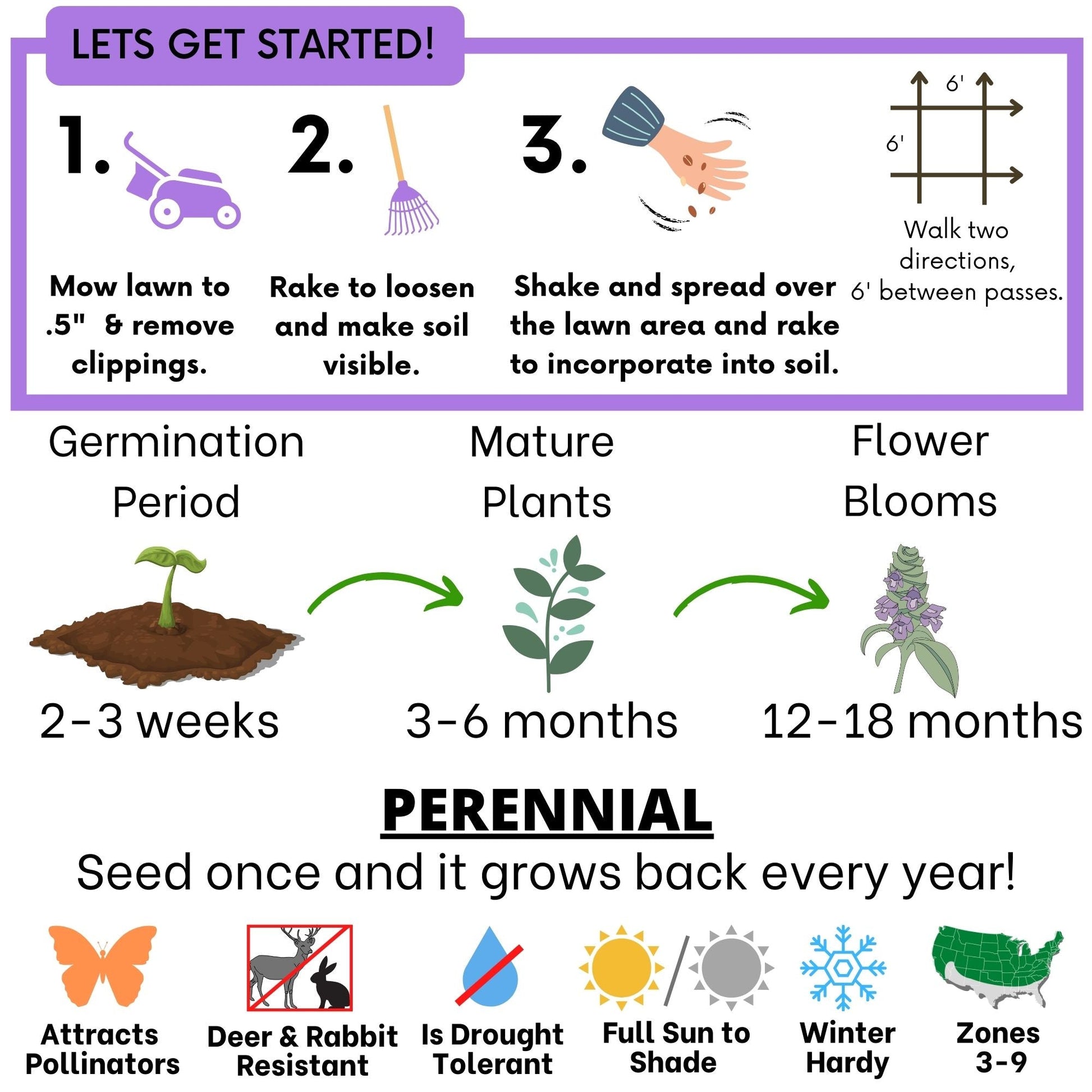 Self-Heal seed pouch from Flawn Seed Kits, containing seed tape for planting, ideal for garden planting and soil health.