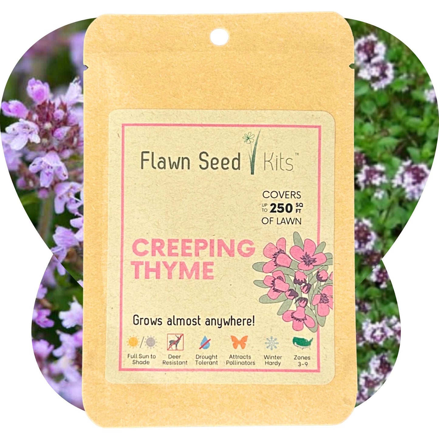 Creeping thyme seeds in a Flawn Seed Kits seed pouch, ideal for garden planting and ground cover.