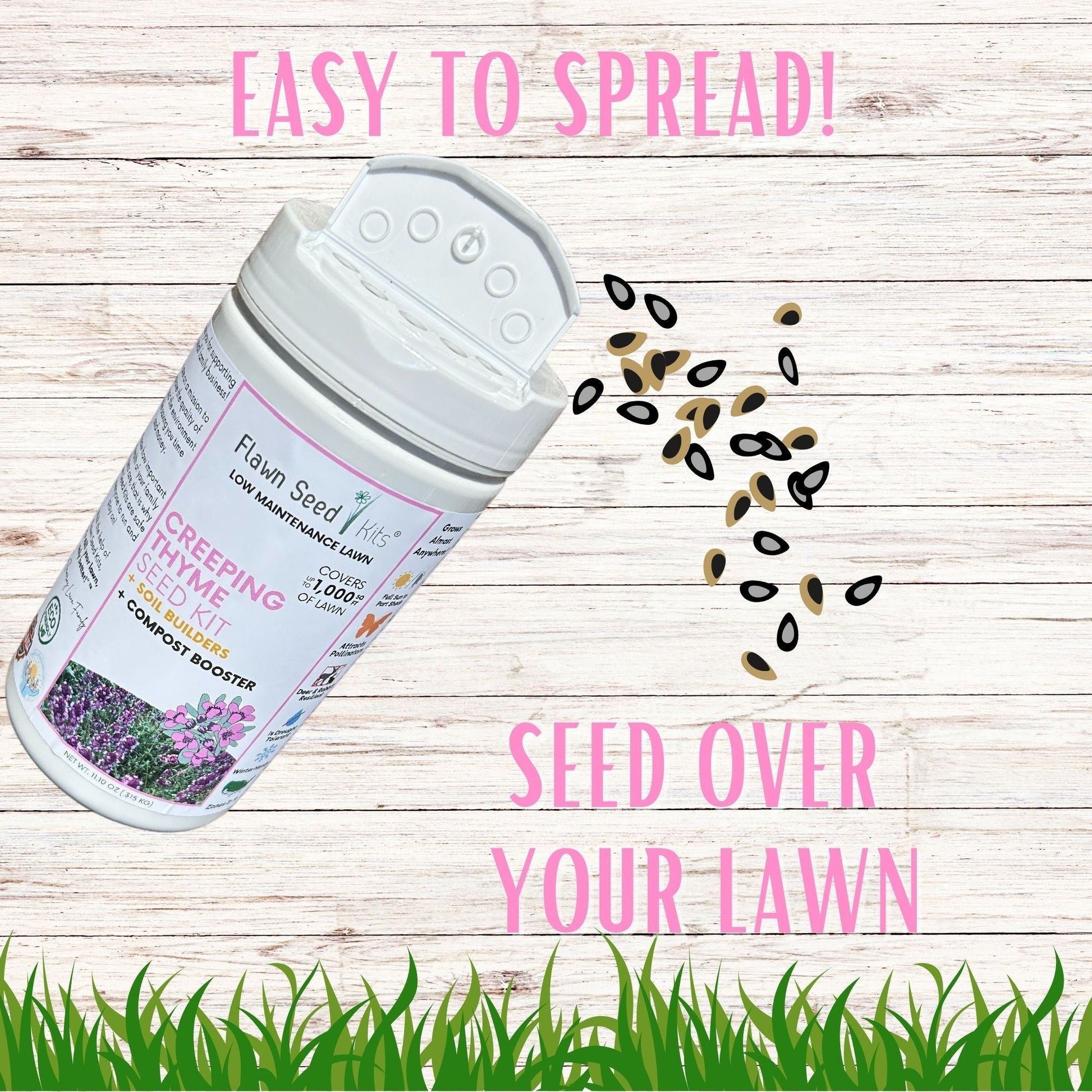 Creeping Thyme seeds in Flawn Seed Kits seed tape for easy spreading, suitable for creating fragrant ground cover in gardens.