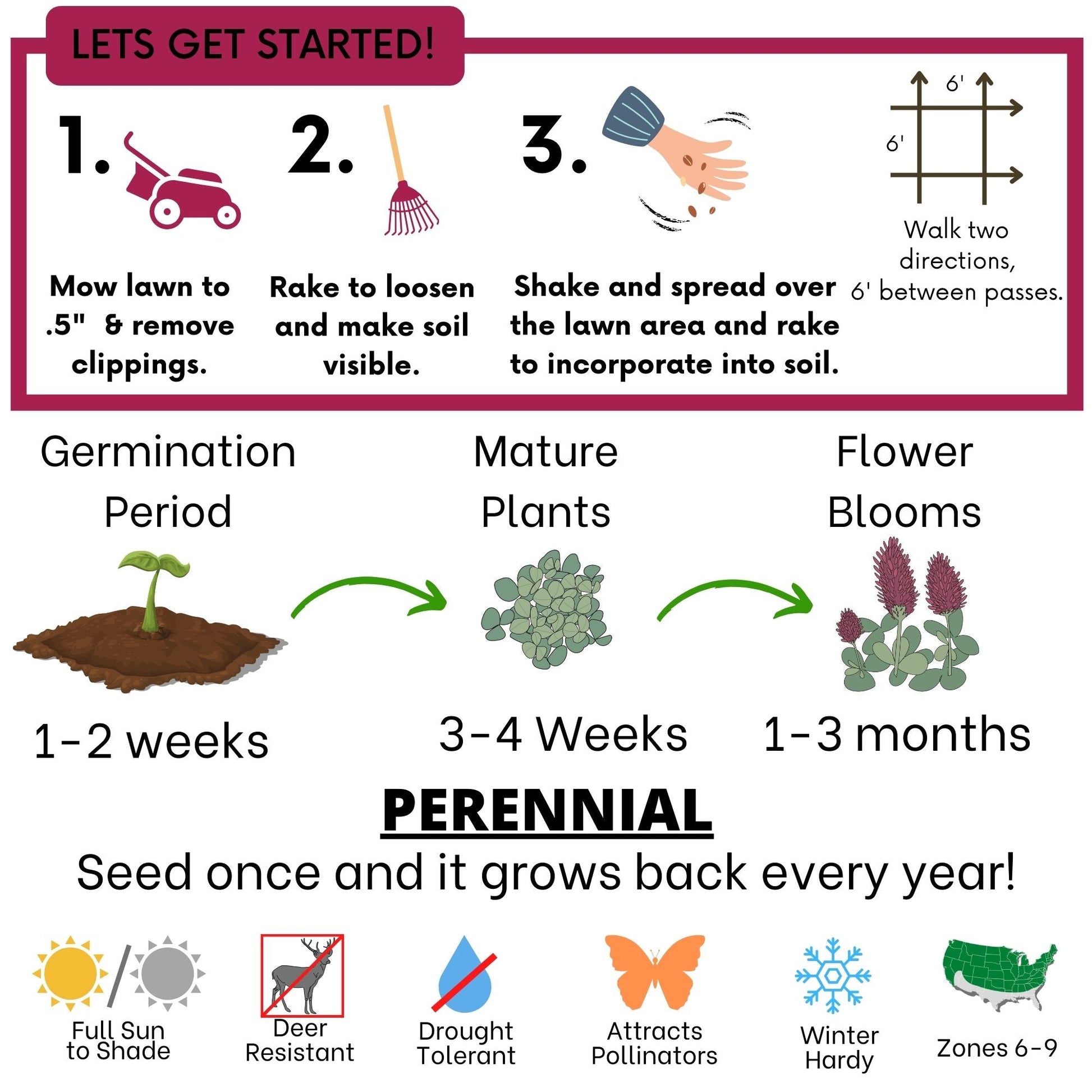 Crimson Clover and Mow Less Grass Seed in seed tape by Flawn Seed Kits, designed for 250 sq ft of lawn coverage.