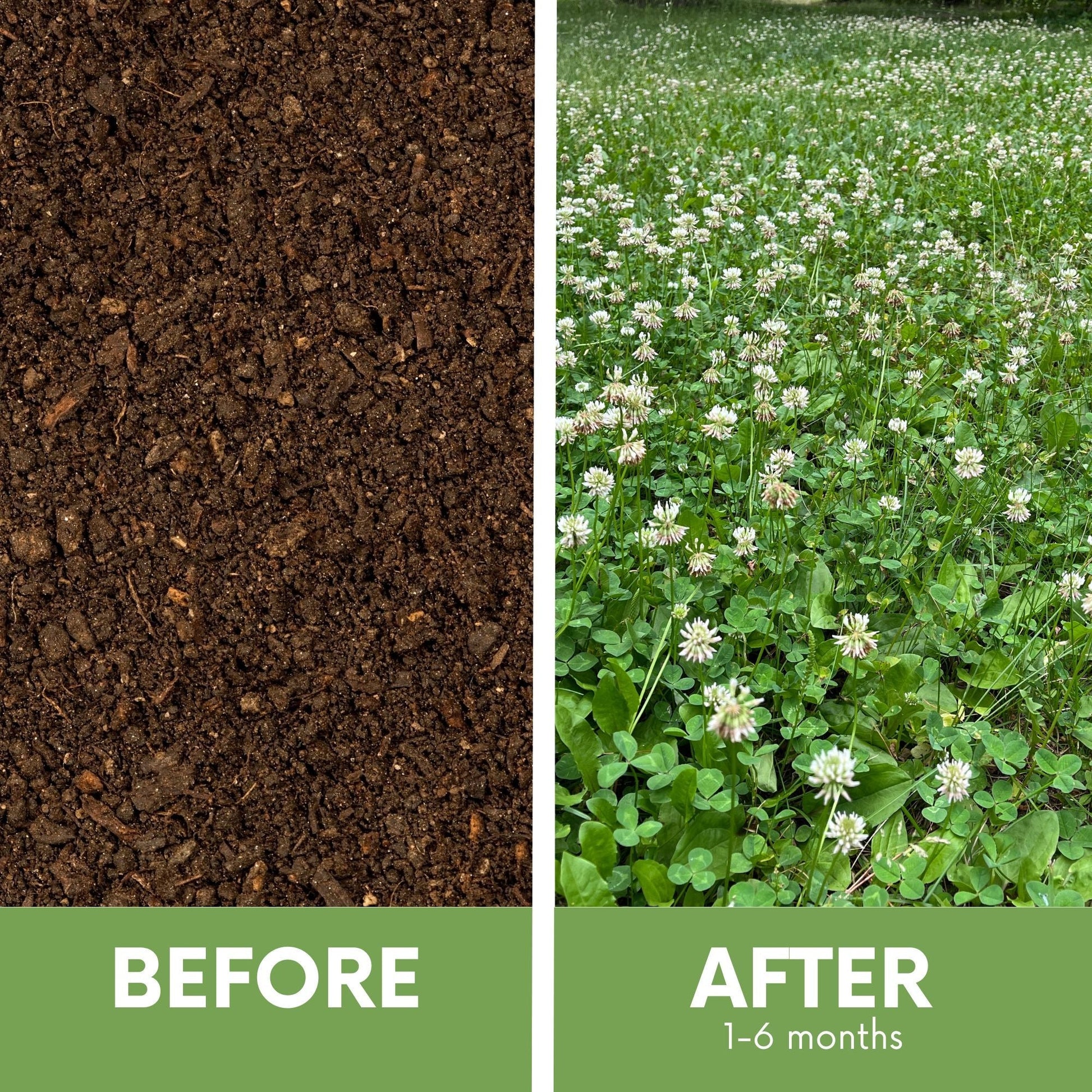 Dutch White Clover and Mow Less Grass Seed in seed tape pouch, Flawn Seed Kits, for 250 sq ft lawn coverage.