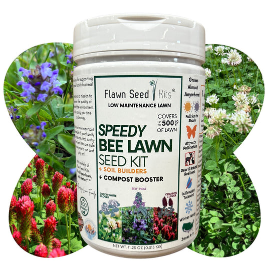 Speedy Bee Lawn Seed Kit by Flawn Seed Kits, includes seed tape for quick, even grass planting in a 250 sq ft lawn area.