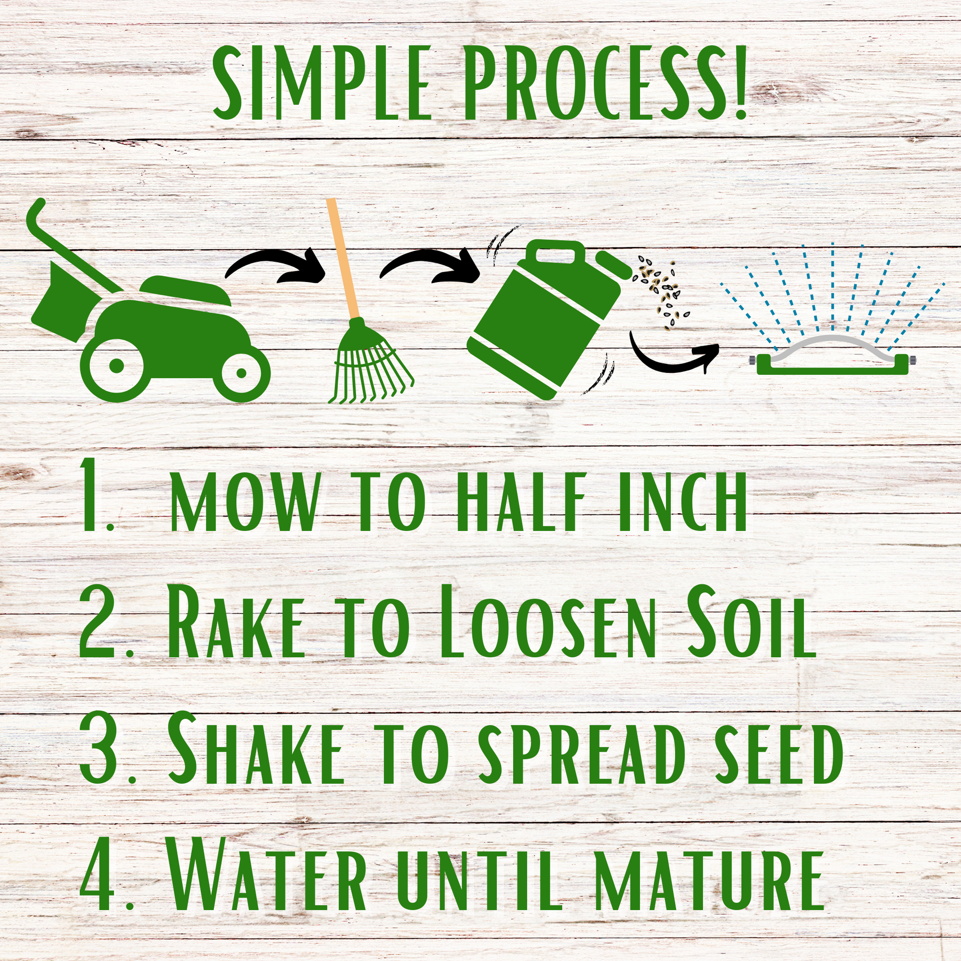 Flawn Seed Kits Speedy Bee Lawn Seed Kit with seeds and seed tape for a 250 sq ft lawn, featuring vibrant grass growth.